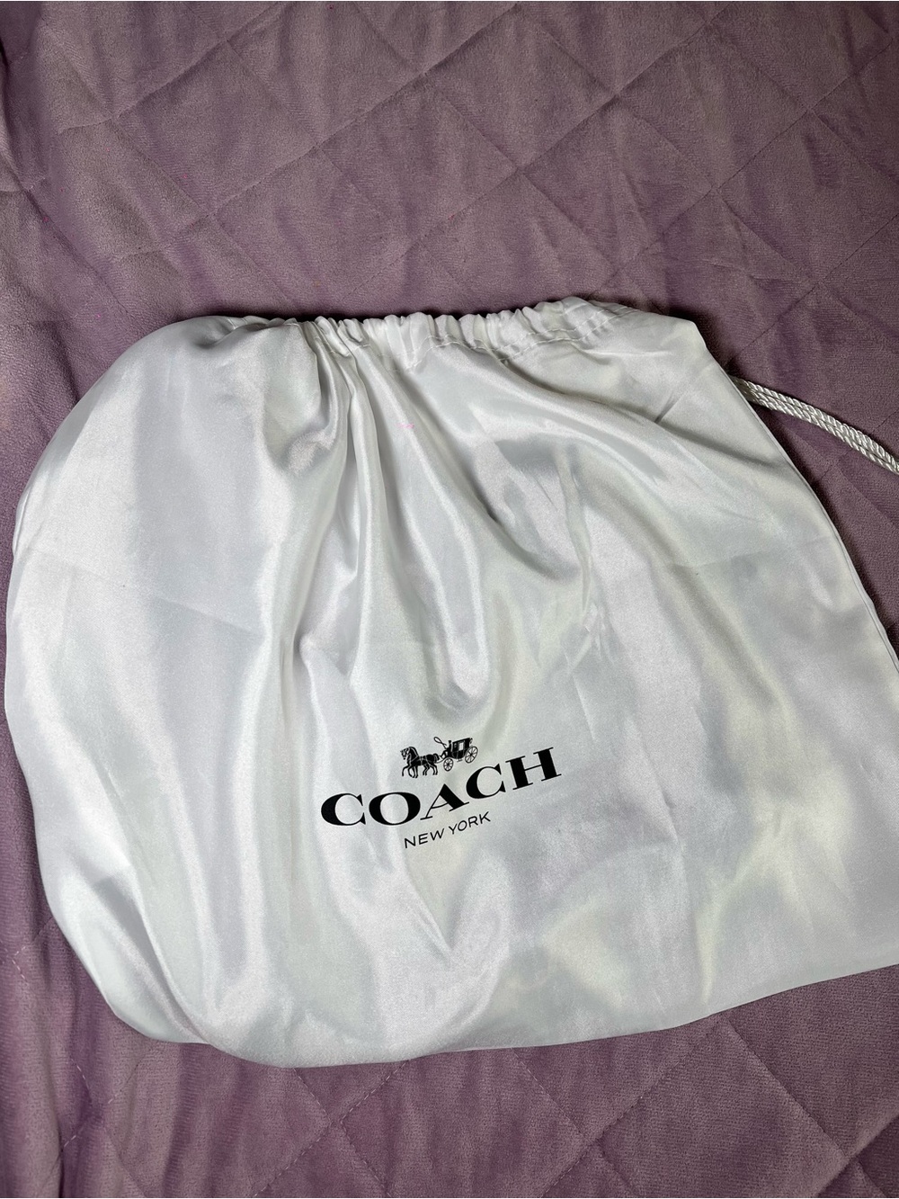 Coach Hamptons hobo bag